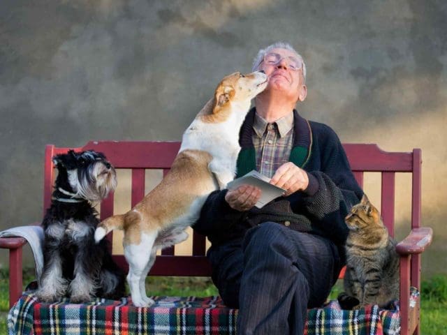 Comprendre et Utiliser les Signaux d’Apaisement